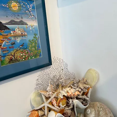 Casa Bacot كانّيتو